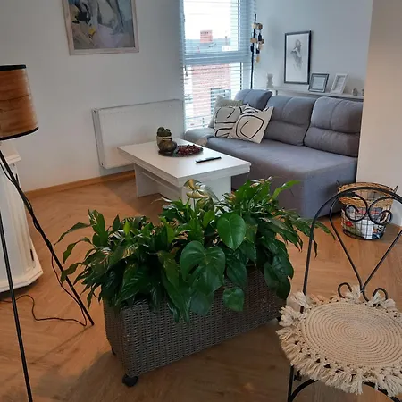 W Centrum Z Panorama Miasta ביילסקו-ביאלה