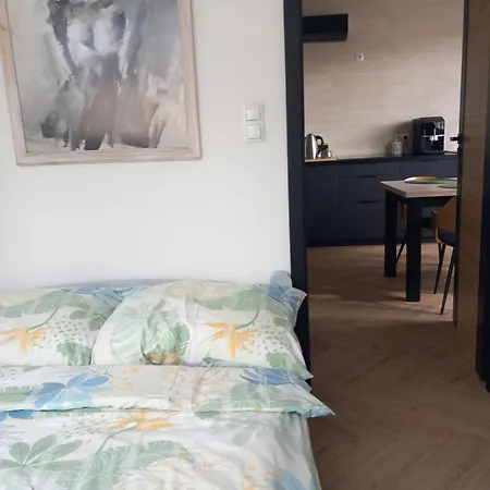 W Centrum Z Panorama Miasta ביילסקו-ביאלה