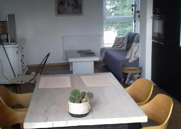 W Centrum Z Panorama Miasta ביילסקו-ביאלה