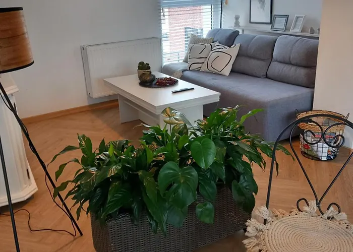 W Centrum Z Panorama Miasta ביילסקו-ביאלה